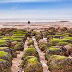The beach of ancient history in England