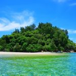 Maine Island's prospect in the Algerian Seychelles Assembly