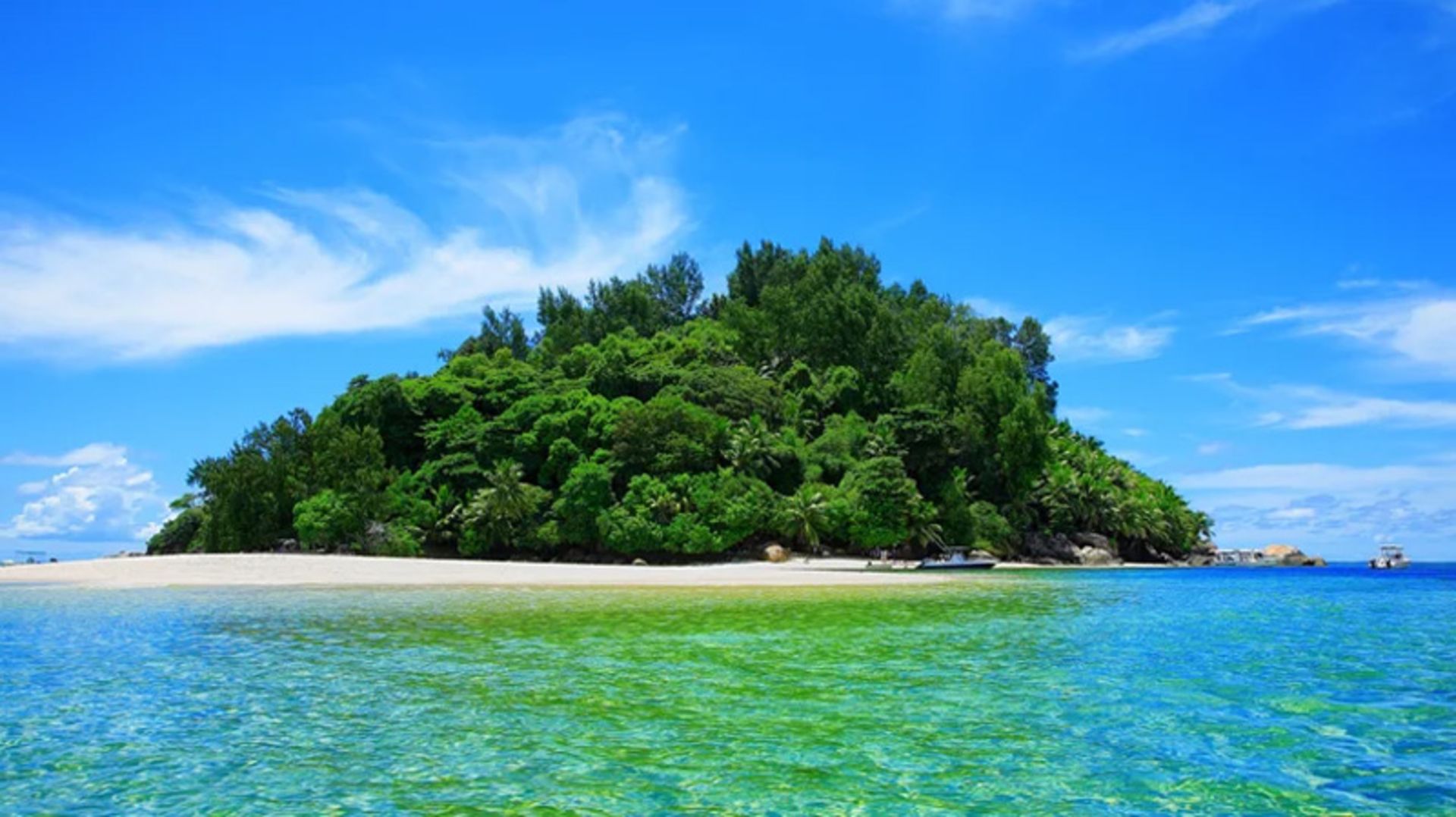 Maine Island's prospect in the Algerian Seychelles Assembly