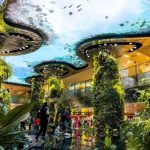 Plants and roofs at Changi Airport Singapore