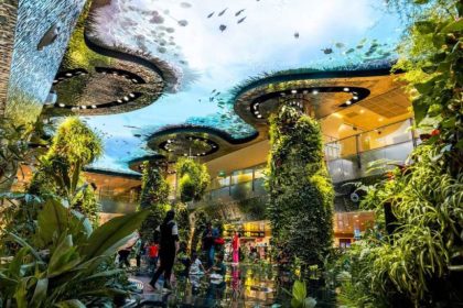 Plants and roofs at Changi Airport Singapore