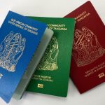 Three electronic passports with blue, green and crimson