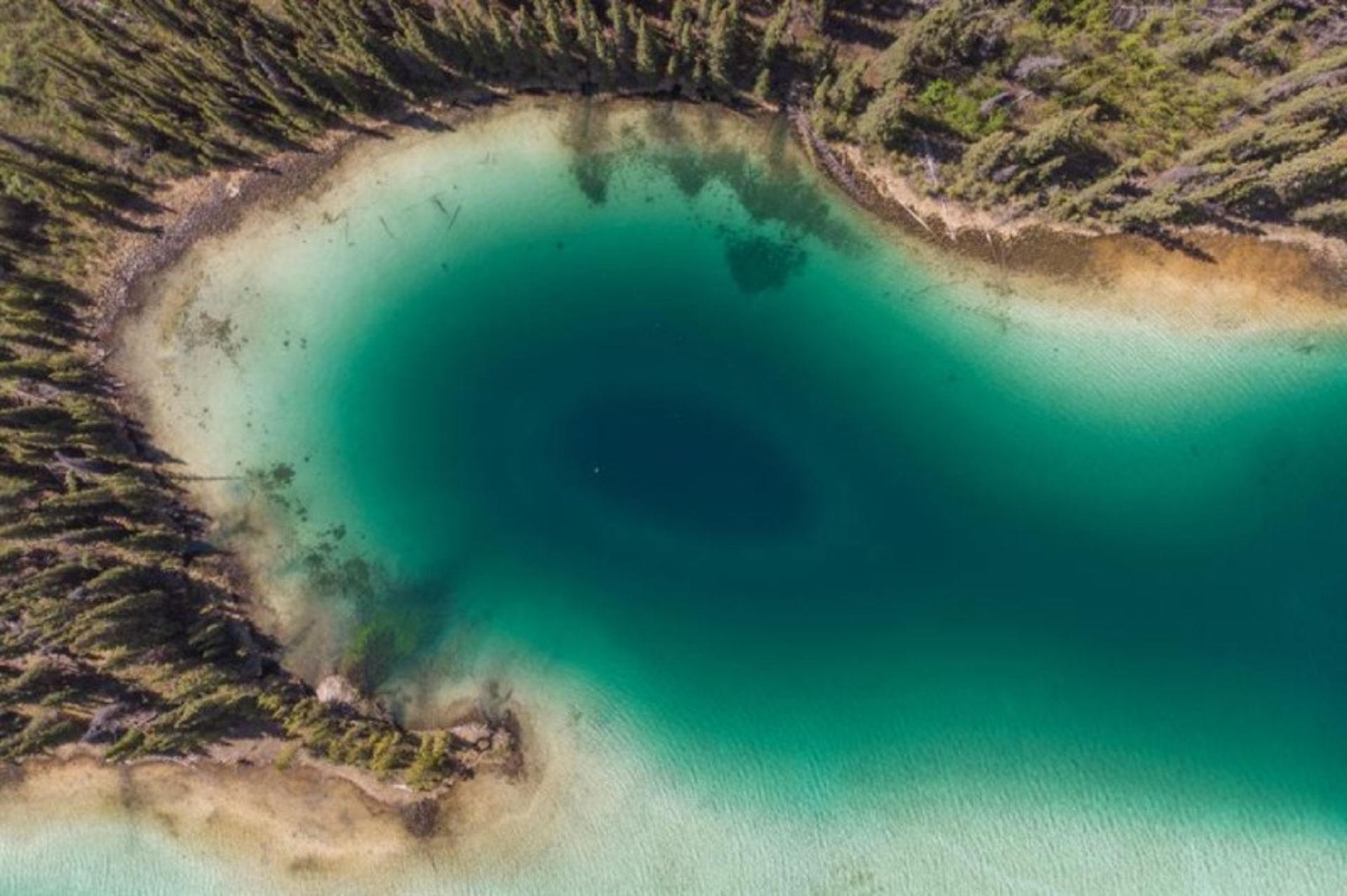 Aerial image of the emerald lake and the surrounding trees in the Yukan territory