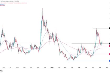 Will Bonk price rise again?