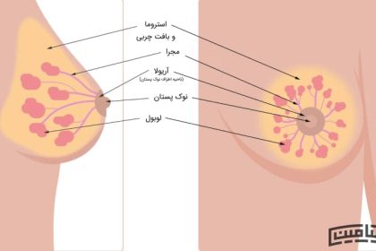 Exercise to shrink chest at home