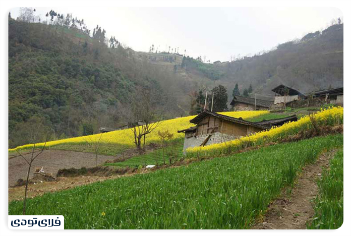 Special language of the people of Zargar Village