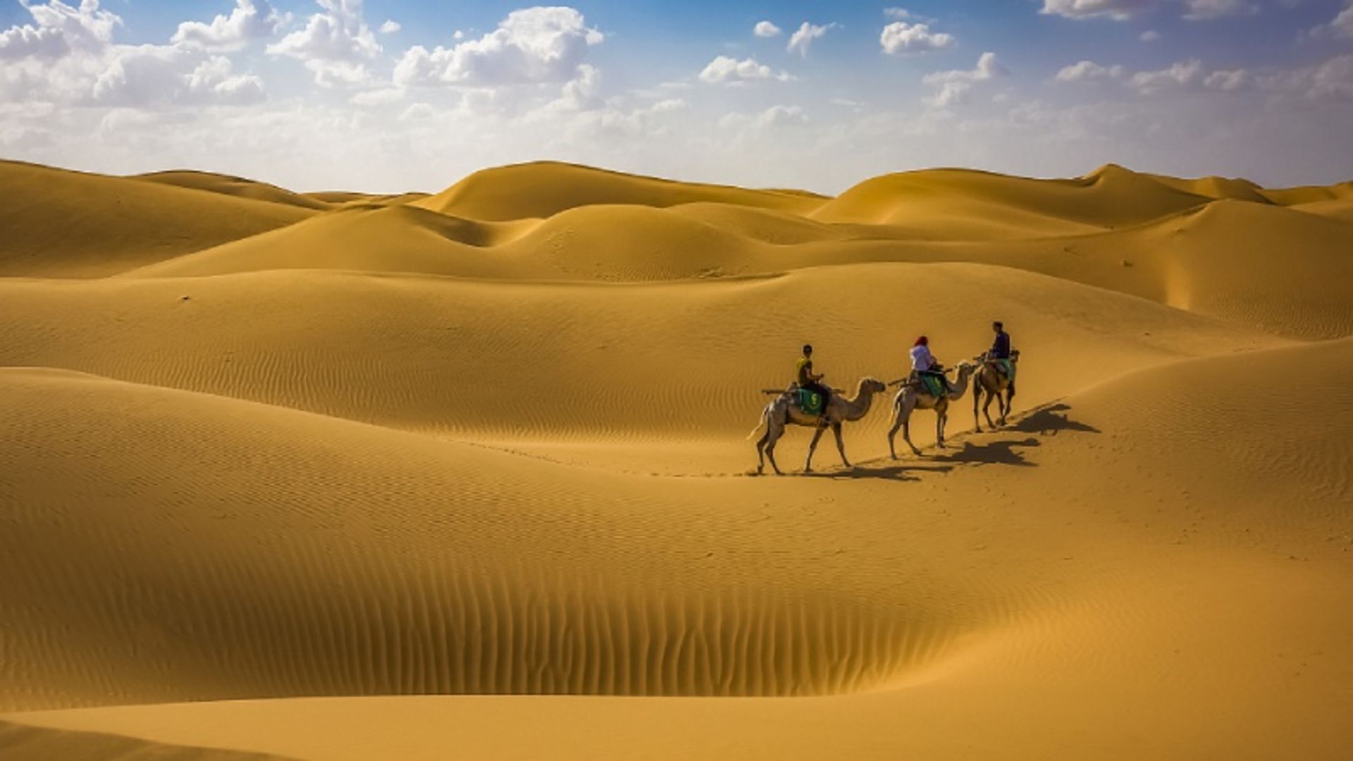 Camel riding in the tanger desert 