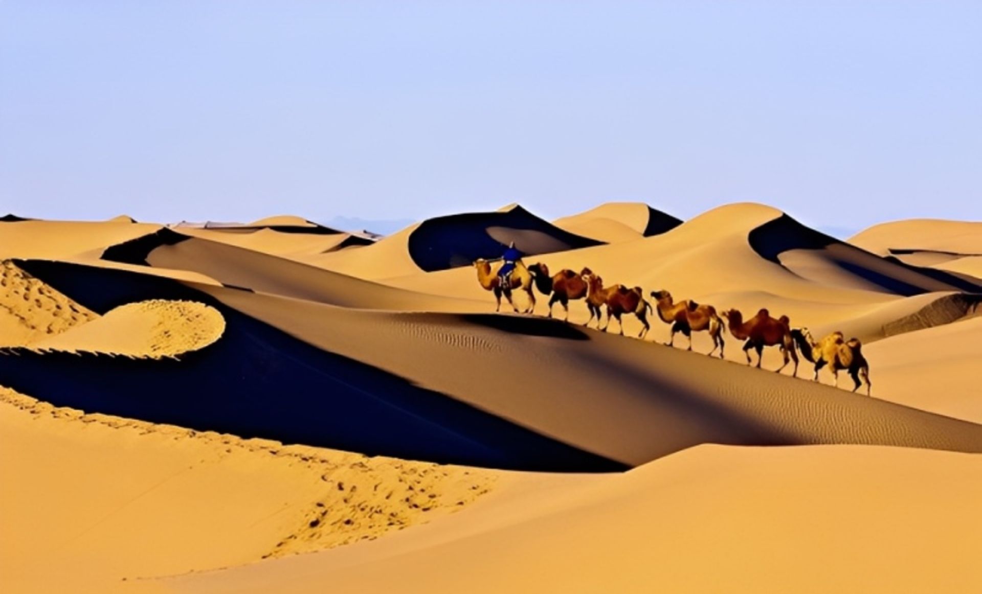 Camel riding in the wilderness of Tonghut 