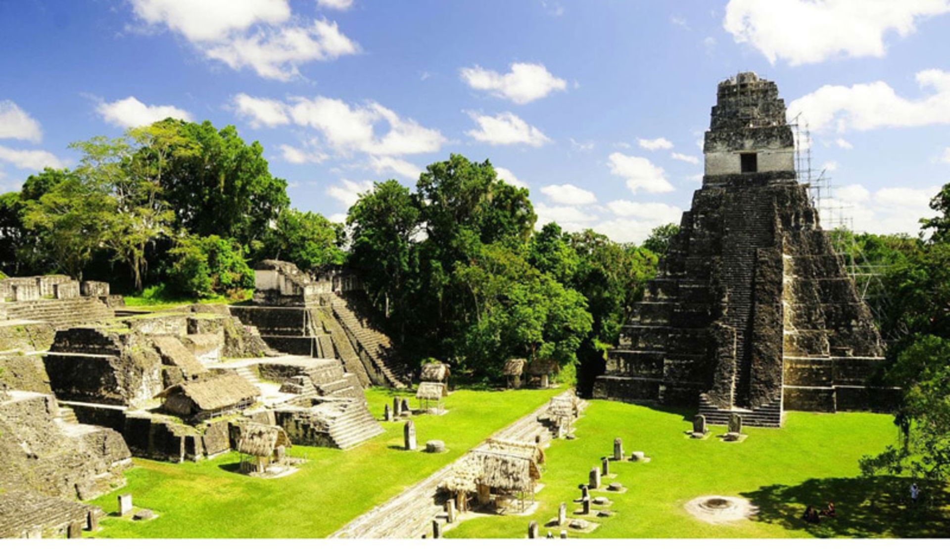 A wide view of the Tikal Temple among the lush forests of Guatemala