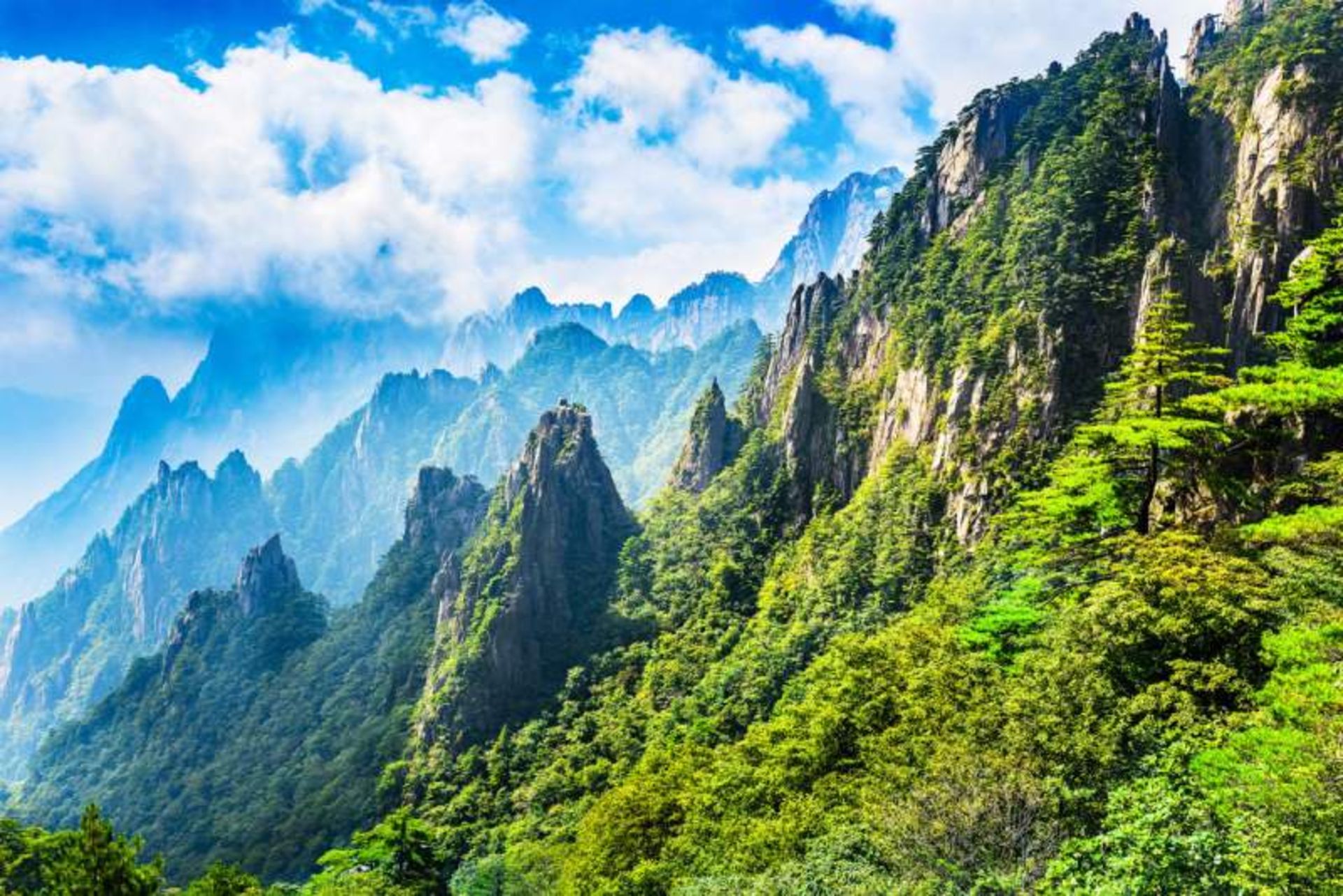 The lush mountain in China
