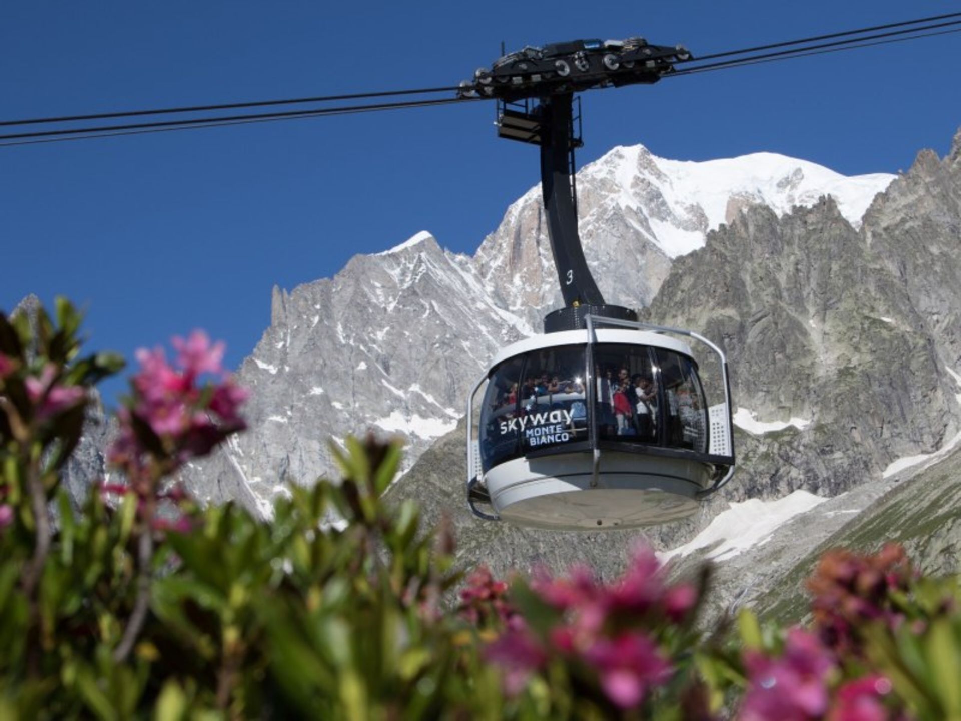 Tourists in the Sky Cabin Monte Bianco Watching Snowy Mountains and Plants
