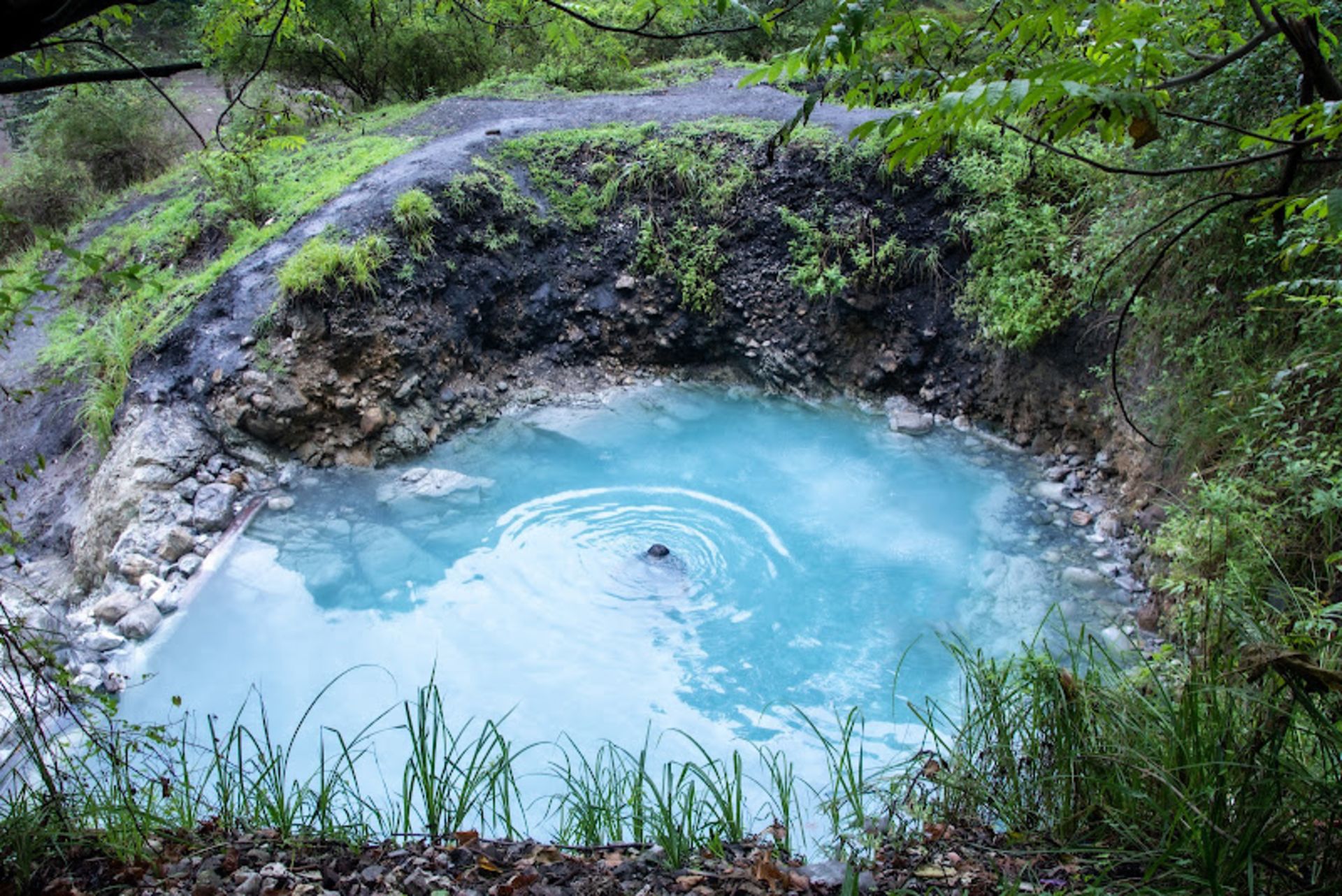 Abthane in the spa pool of Beliran forest