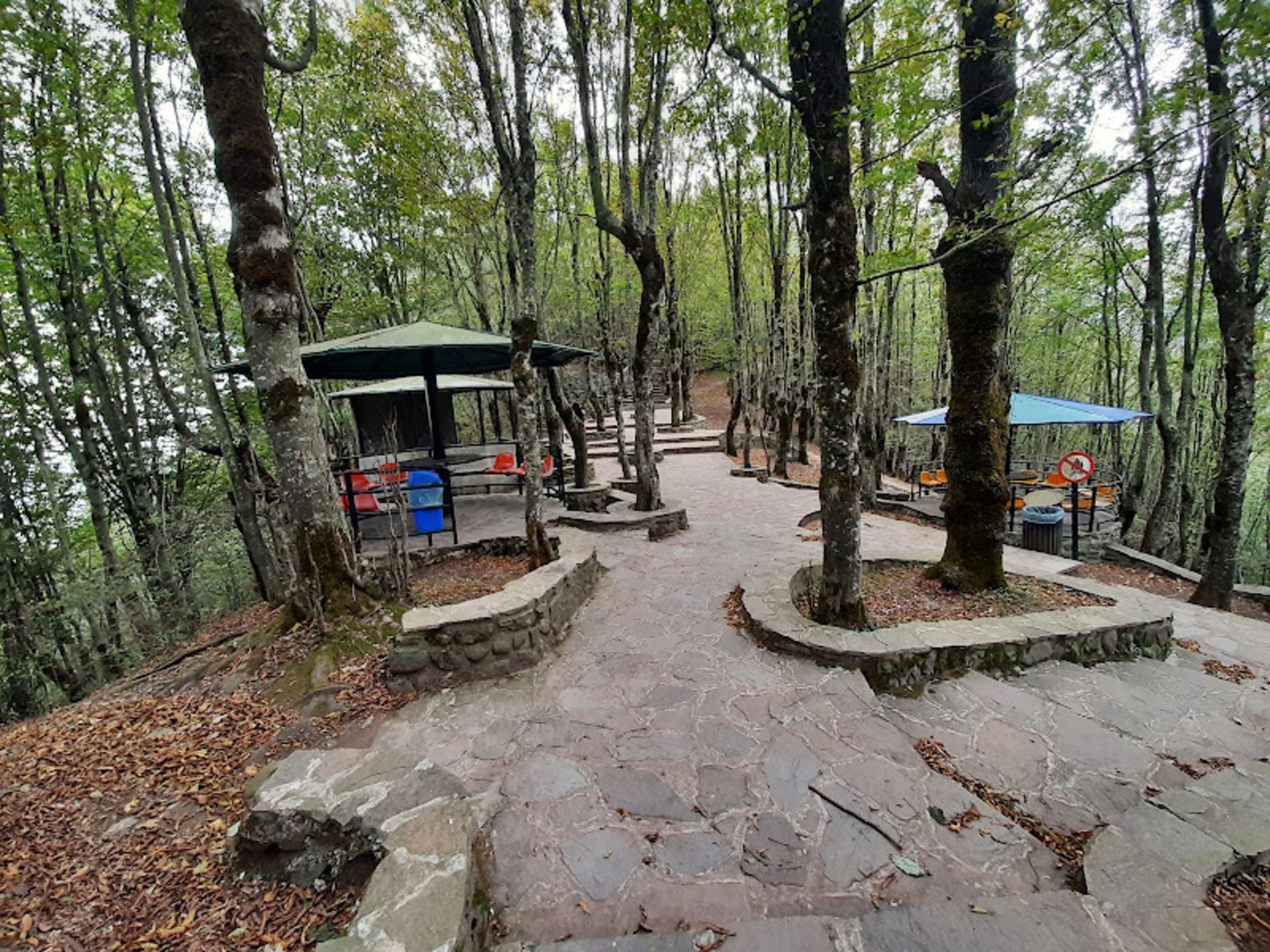 Thousand Park Park Alas