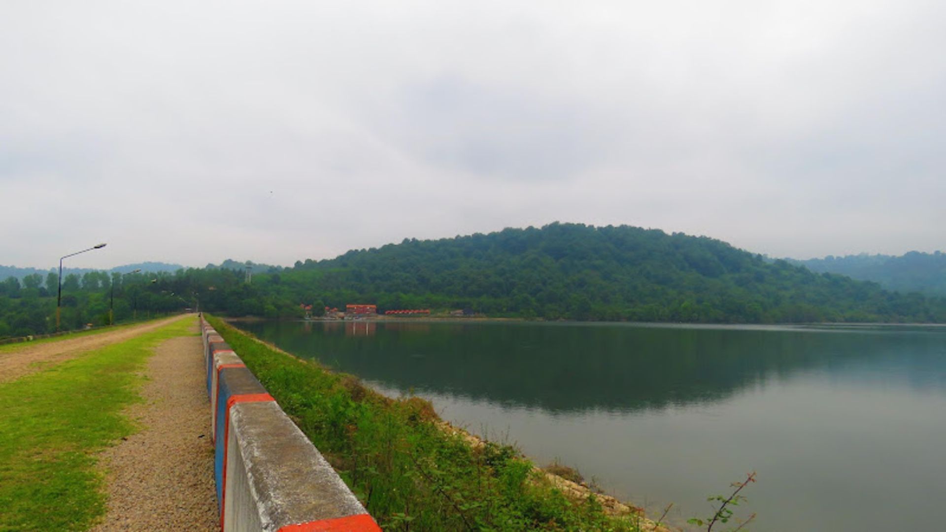 Reflection of the trees in the dirt dam