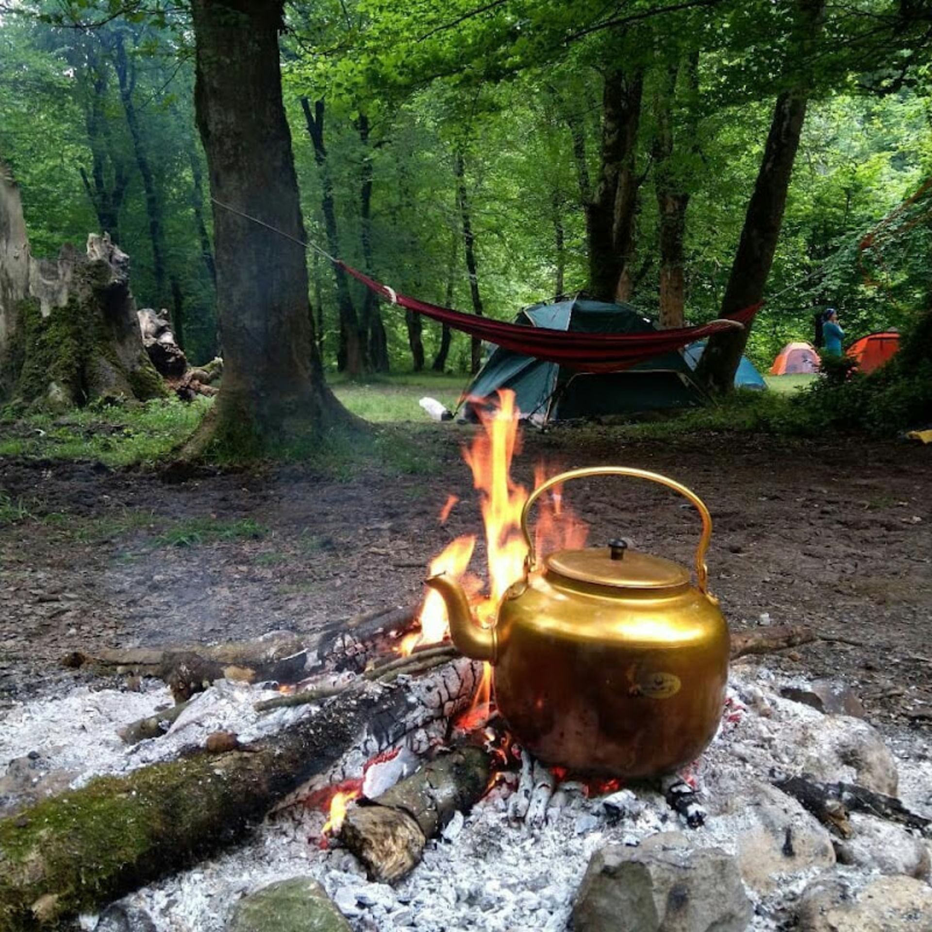 Camping in the heart of the Beliran forest
