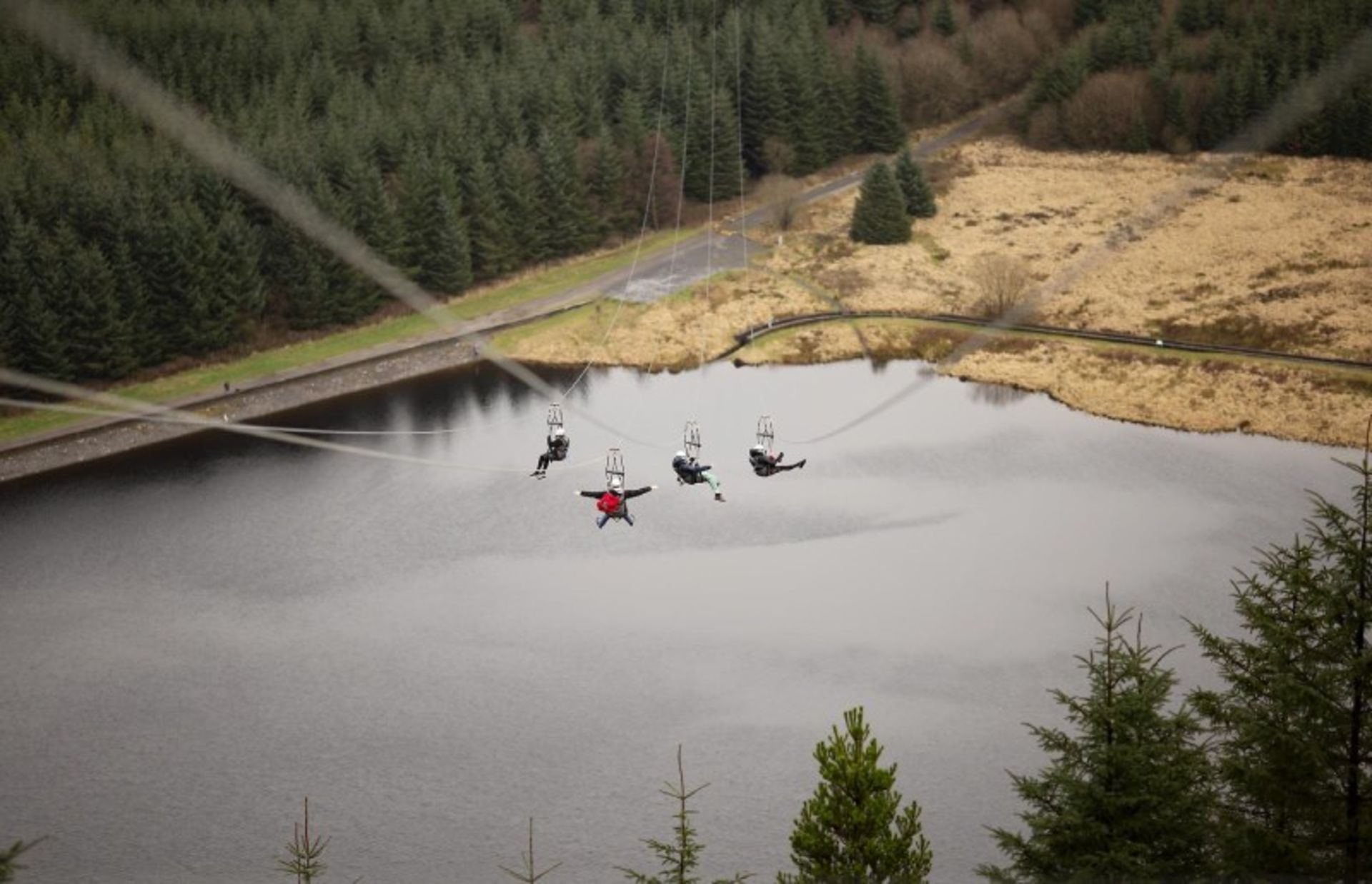 Four individuals in four zipline routes in the Zip Collection Collection