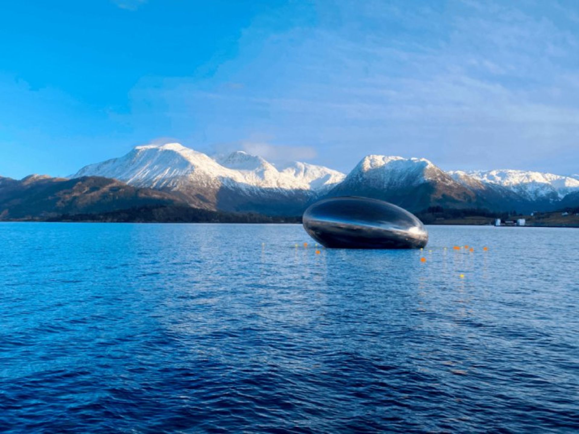 Salmon II Exhibition at sea