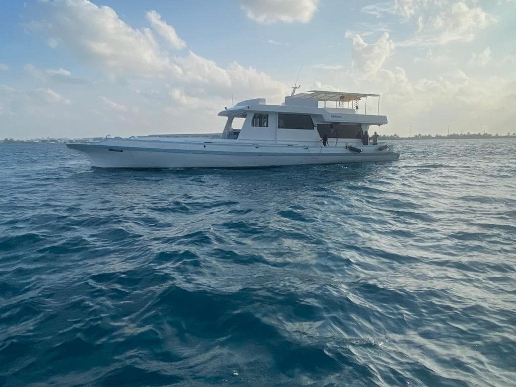 Sunshine and sea safari tours