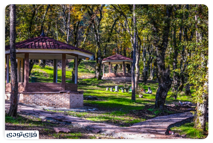 Sisangan Forest and Beach Park