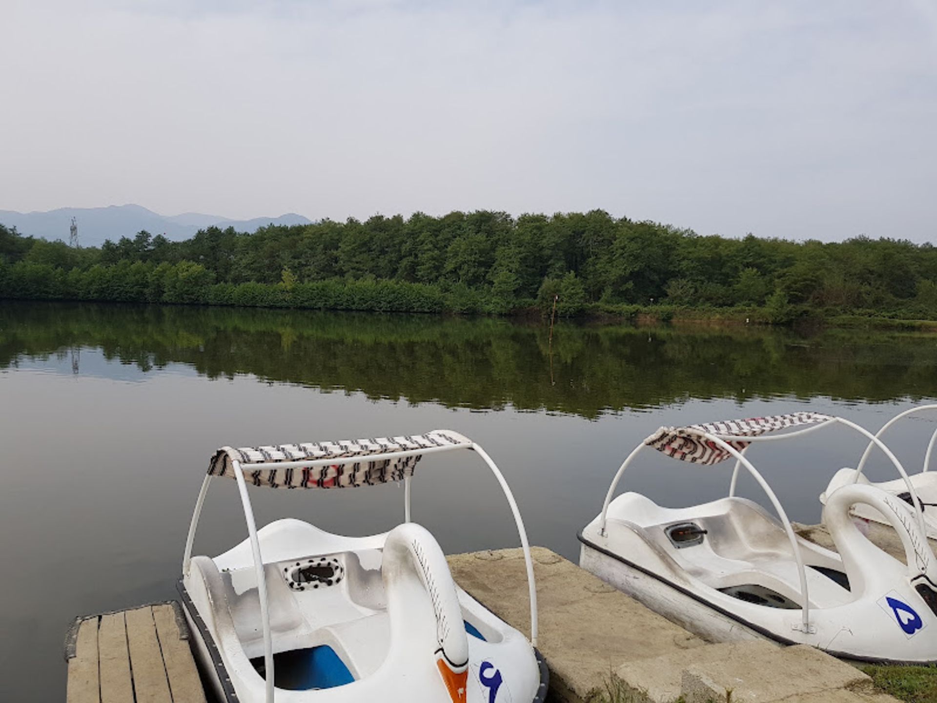 Reflection of trees in the water of Lake Gisum