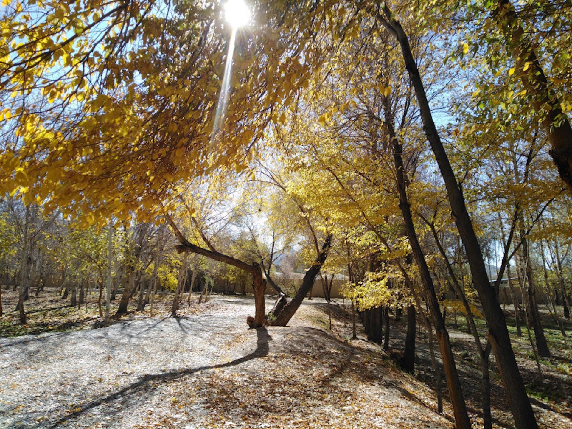 Autumn Nature of Najwan Forest Park