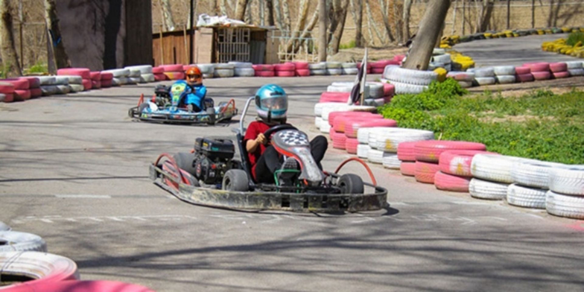 Carting in Isfahan Young Garden