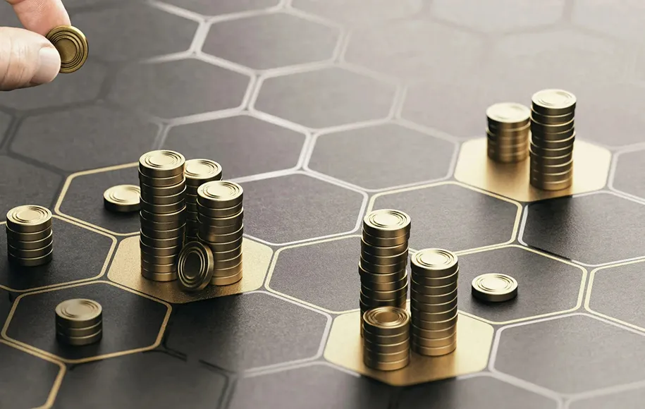 A comprehensive guide to using the livelihood support system