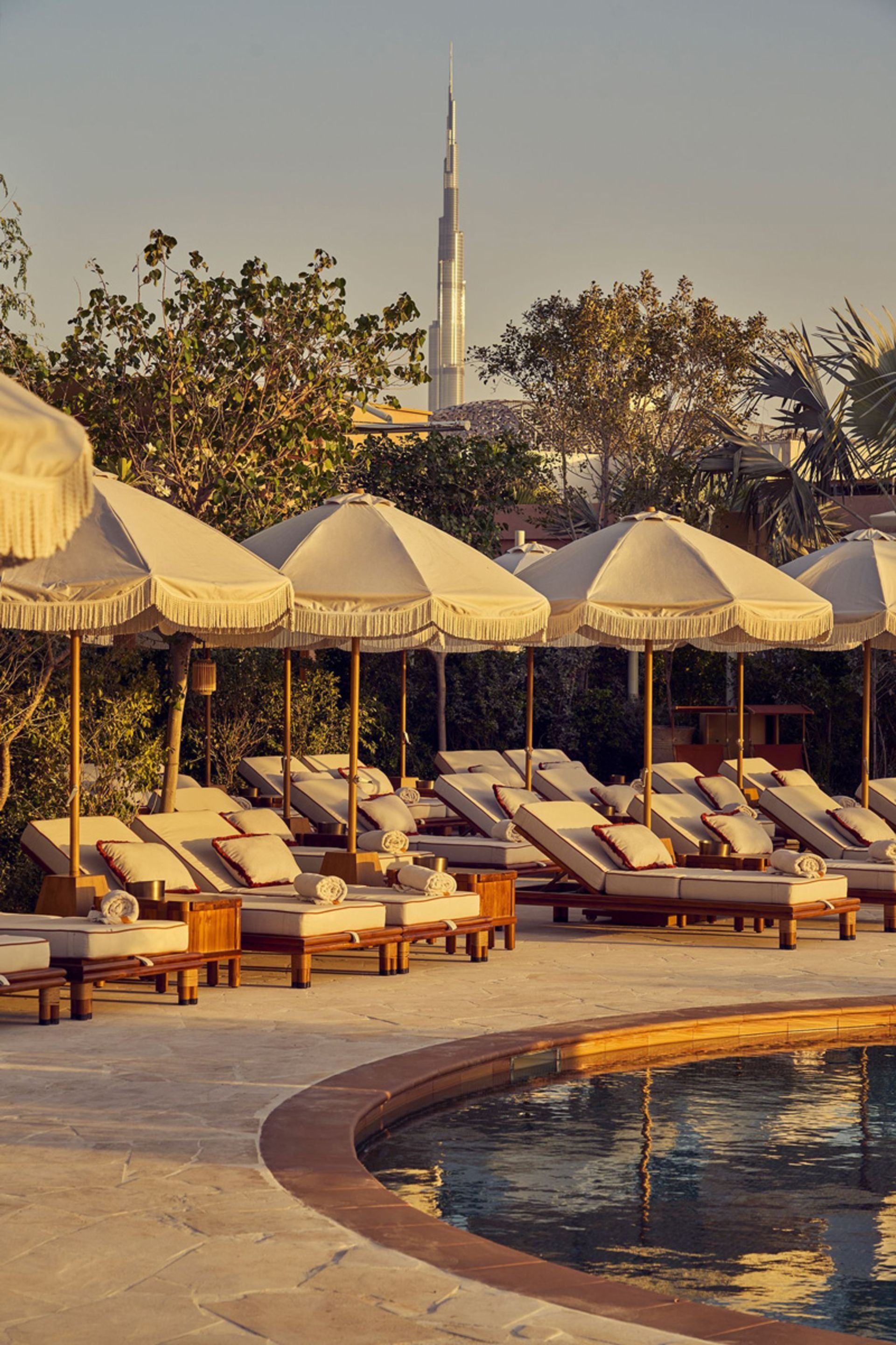 Dubai's Sunshine Beds