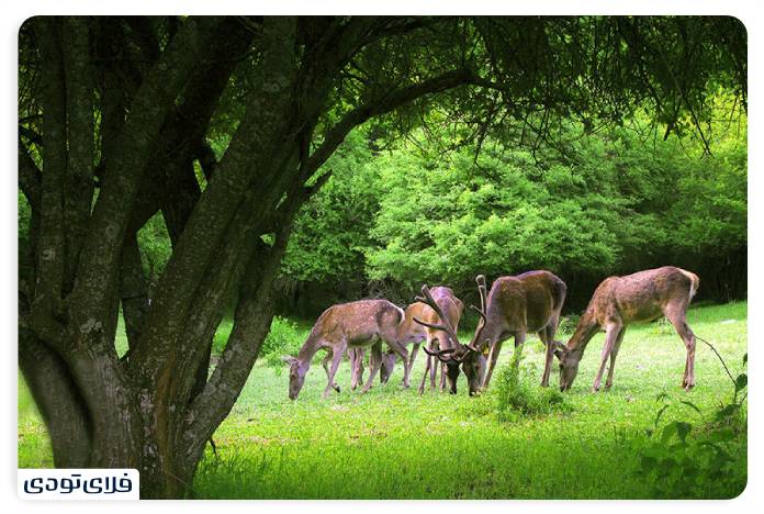Don't miss these sights of Tabriz