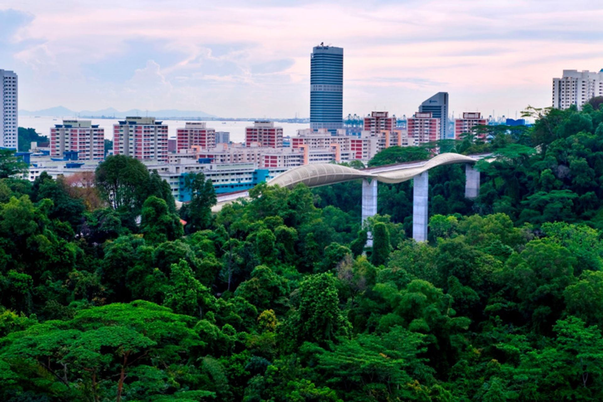 Paul Henderson Views in the protected forest
