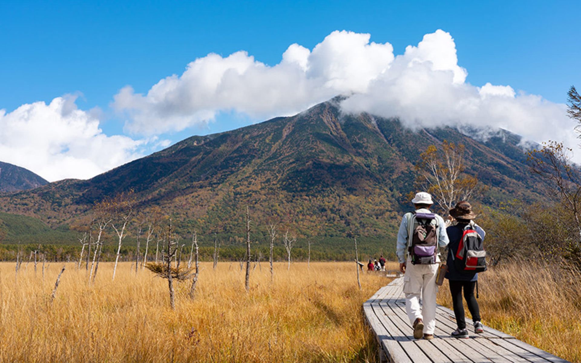 Walking in the autumn nature of Japan