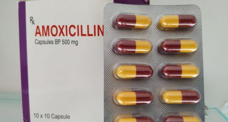 Amoxicillin 500 consumption in children