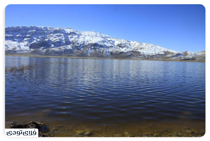 Wetland Wetland Lake Clar