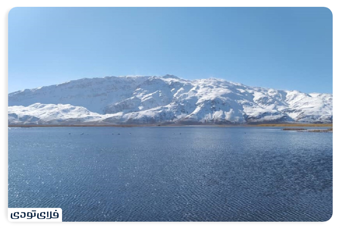 Wetland Wetland Gland