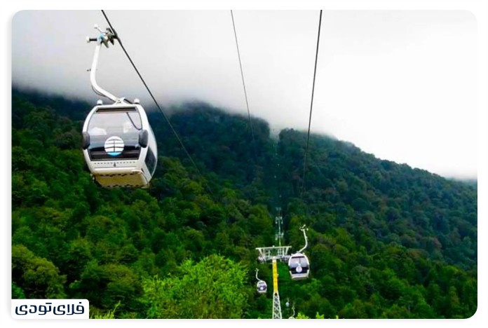 Salt Salt Abrood Abrood Salt Cab