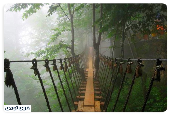 Salt Salt Abrood Salvation bridge