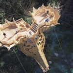 Aerial image of the Socquate View Alaska Deer