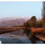 Where is the Wetland Wetland?