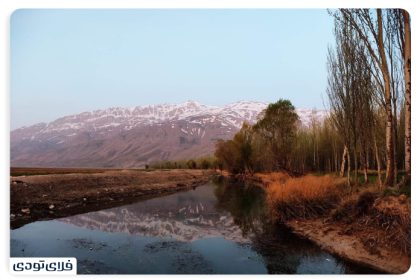 Where is the Wetland Wetland?