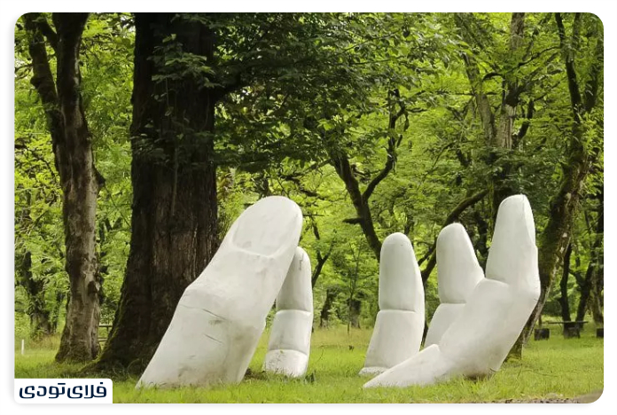 Where is the Chaldra Forest Park?