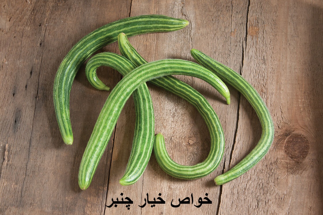 Properties of cucumber