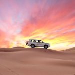 Safari in Abu Dhabi's sandy deserts