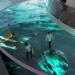 Simulation of visitors at the Salmon II Exhibition