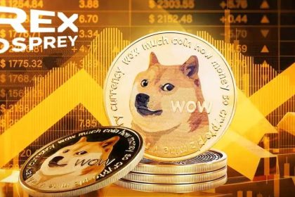 dogecoin-etf-rumors-circle-is-5-coming-for-doge