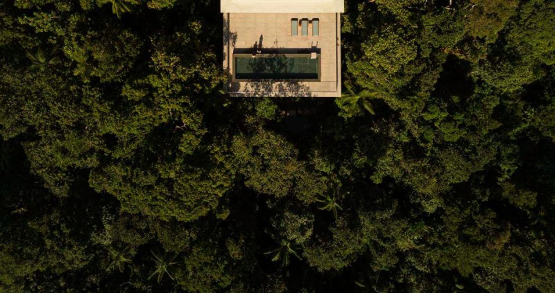 Aerial image of the canopy housing building and the surrounding trees