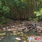 Massage in the woods