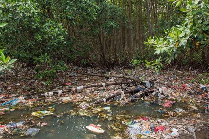Massage in the woods