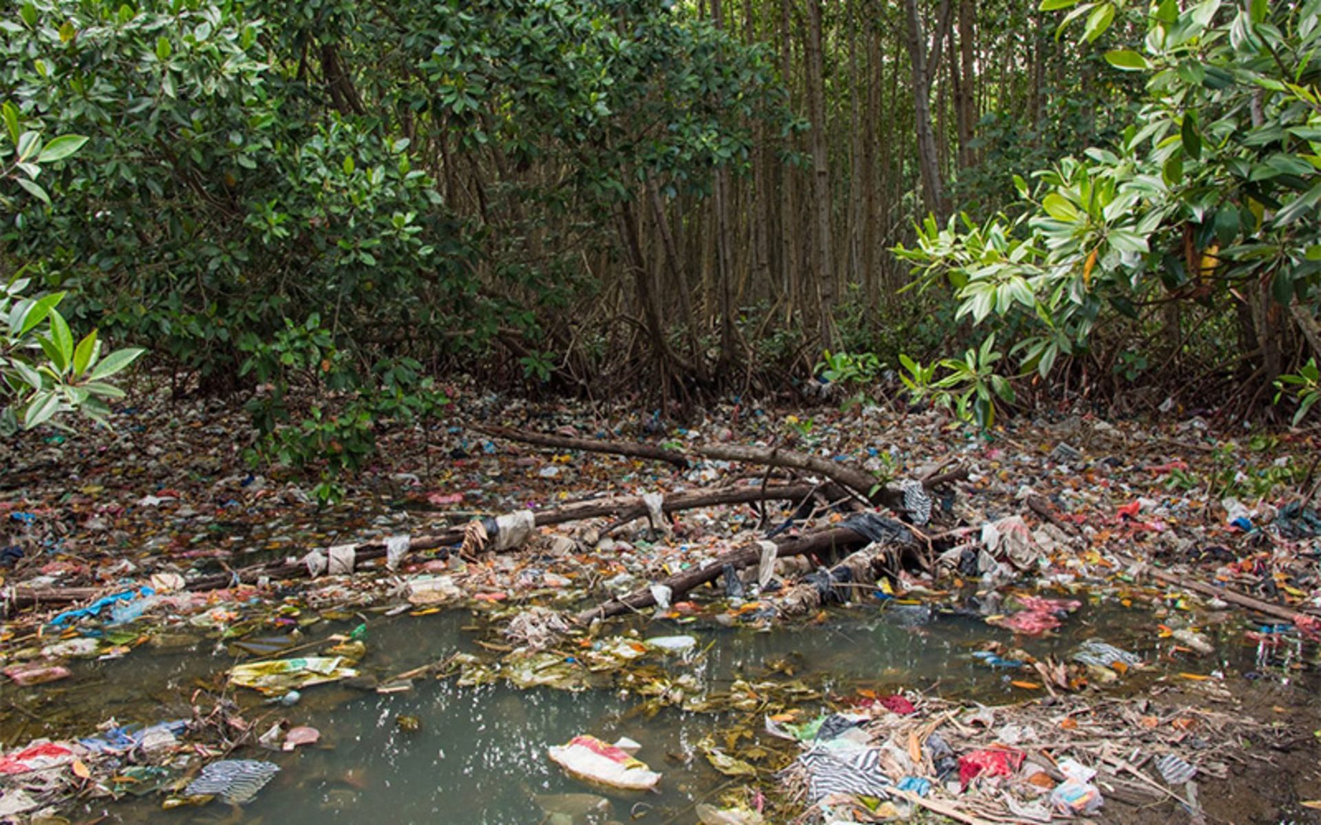 Massage in the woods