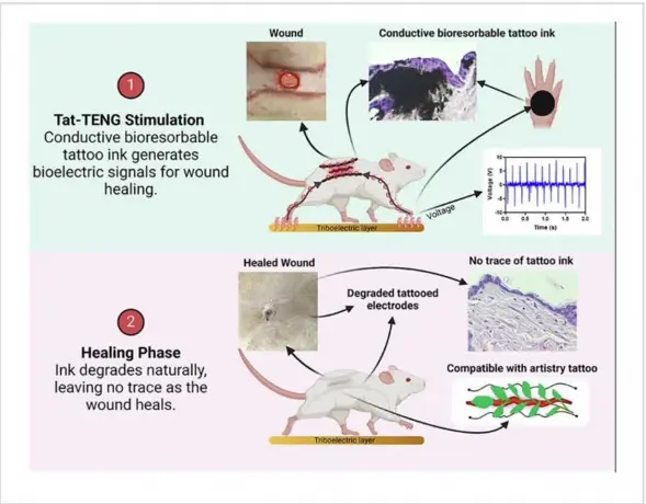 Production of energy and stimulate therapeutic processes from the common human body movements