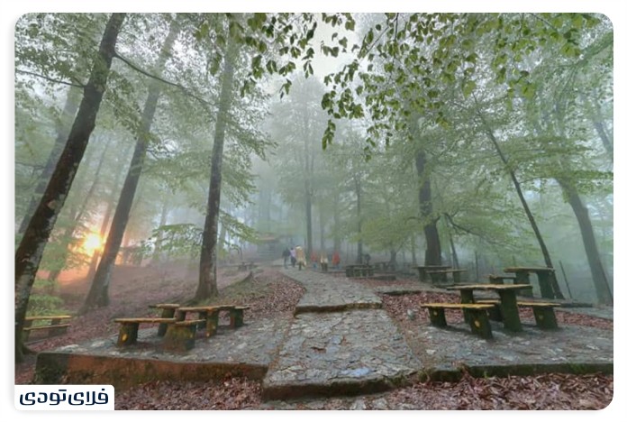 Abrood Salt Forest Park